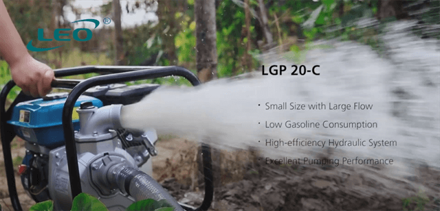 Application of LEO's LGP Gasoline Pump