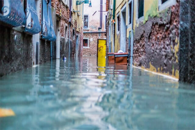 LEO's Blessing to Venice