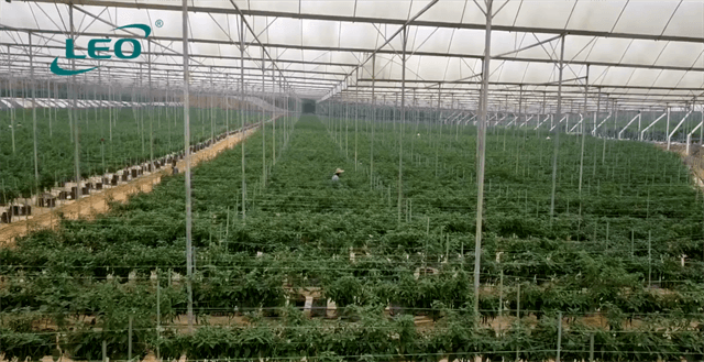 Use Less Water, Create More Green