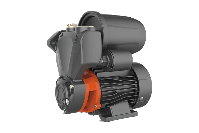 AKSm-A Self-priming Peripheral Pump