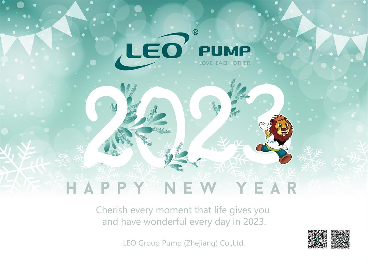 Happy New Year from LEO