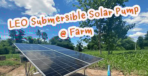 LEO Solar Pumping Solution on Thai Sugar Cane Farm