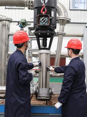 LEO QMS - Pompa Testi