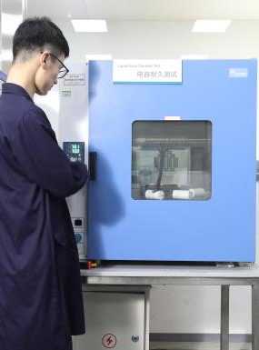 LEO QMS - Kapasitör Dayanıklılık Testi