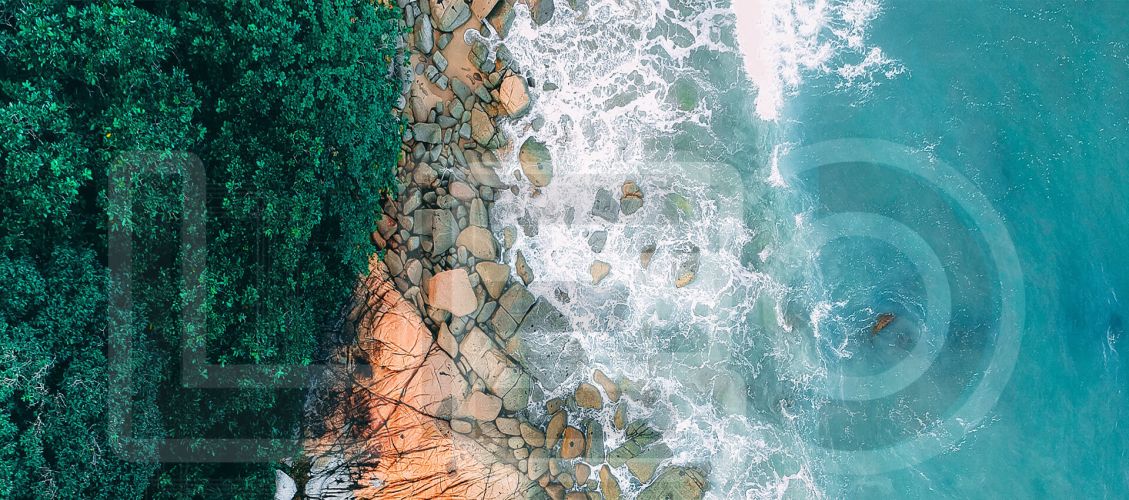 LEO PUMP - Pompa ve Sistem Üreticisi